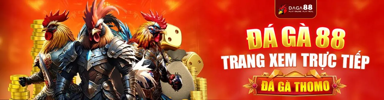 Đá gà trực tiếp to888 2026